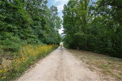 property photo for Springlake Plat 2 Tract 26, 0.19 acres for sale in Miller County, Missouri