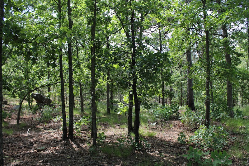 Tract 25 at Indian Ridge Phase II in Pittsburg County, Oklahoma