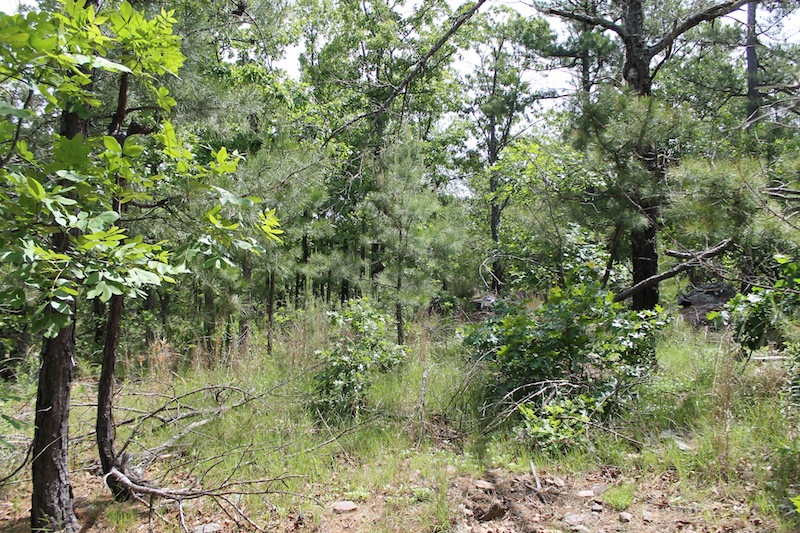 Tract 26 at Indian Ridge Phase II in Pittsburg County, Oklahoma