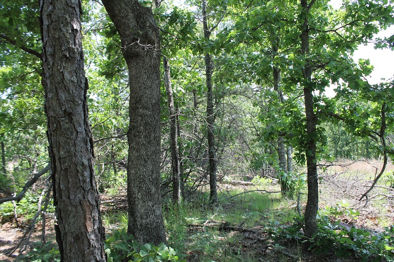 Tract 29 at Indian Ridge Phase II in Pittsburg County, Oklahoma