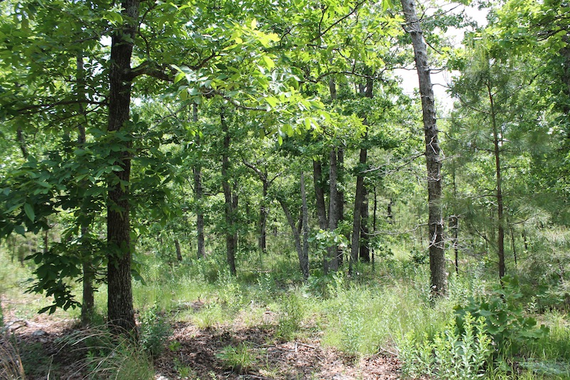 Tract 31 at Indian Ridge Phase II in Pittsburg County, Oklahoma