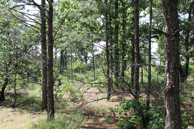 Tract 33 at Indian Ridge Phase II in Pittsburg County, Oklahoma