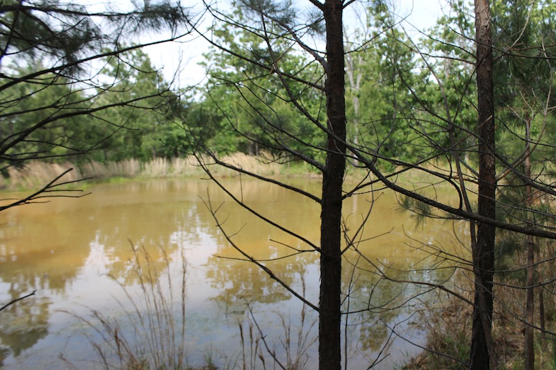 Tract 34 at Indian Ridge Phase II in Pittsburg County, Oklahoma