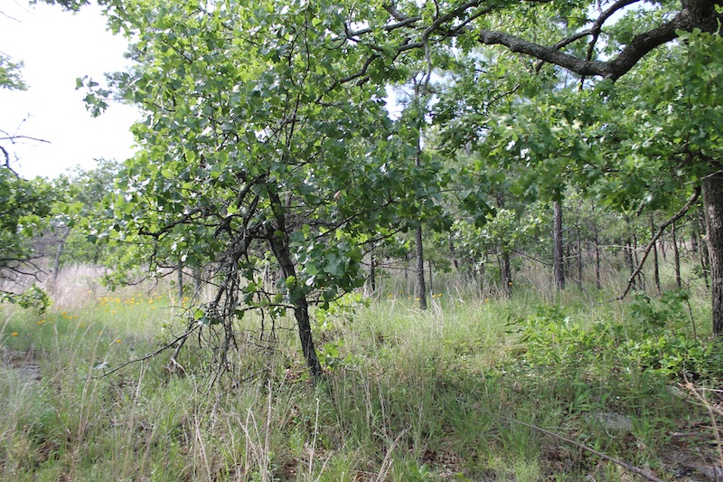 Tract 35 at Indian Ridge Phase II in Pittsburg County, Oklahoma