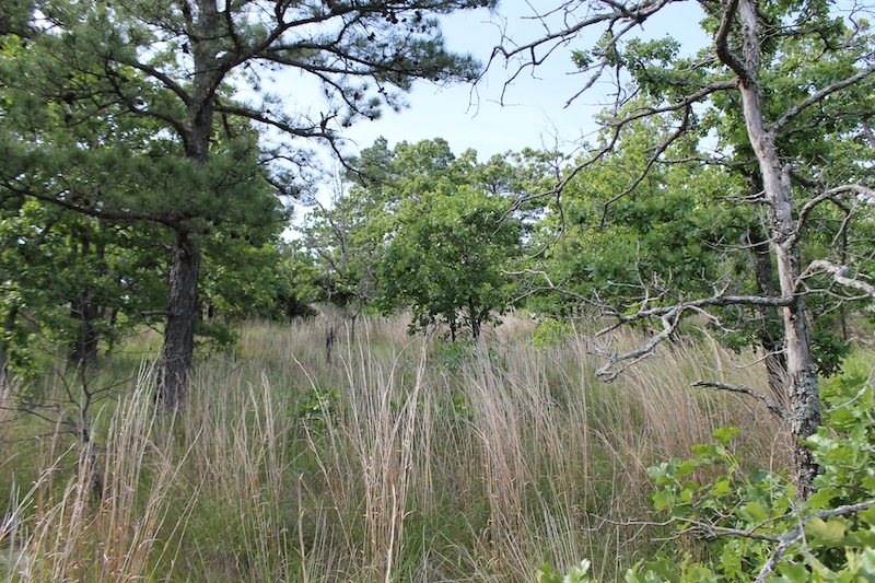 Tract 36 at Indian Ridge Phase II in Pittsburg County, Oklahoma