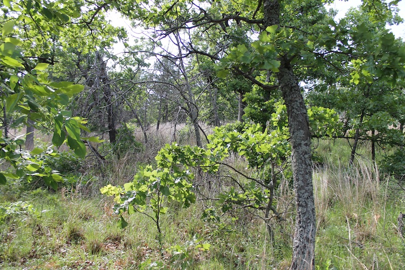 Tract 37 at Indian Ridge Phase II in Pittsburg County, Oklahoma