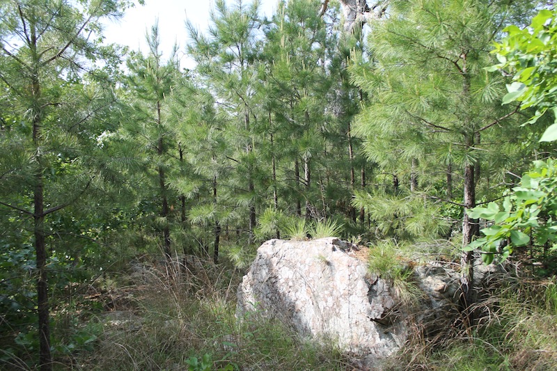 Tract 38 at Indian Ridge Phase II in Pittsburg County, Oklahoma