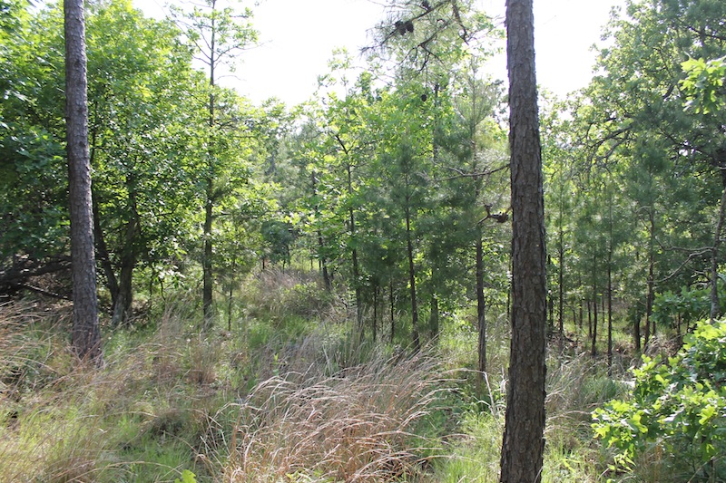 Tract 39 at Indian Ridge Phase II in Pittsburg County, Oklahoma