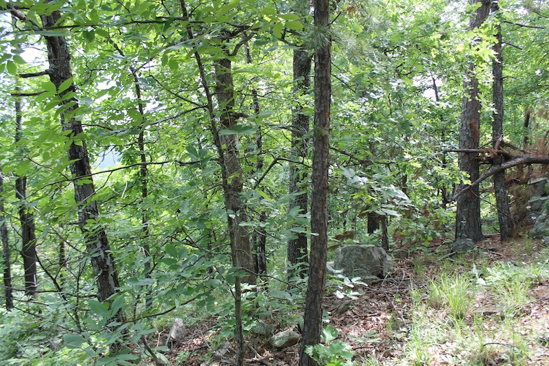 Tract 40 at Indian Ridge Phase II in Pittsburg County, Oklahoma