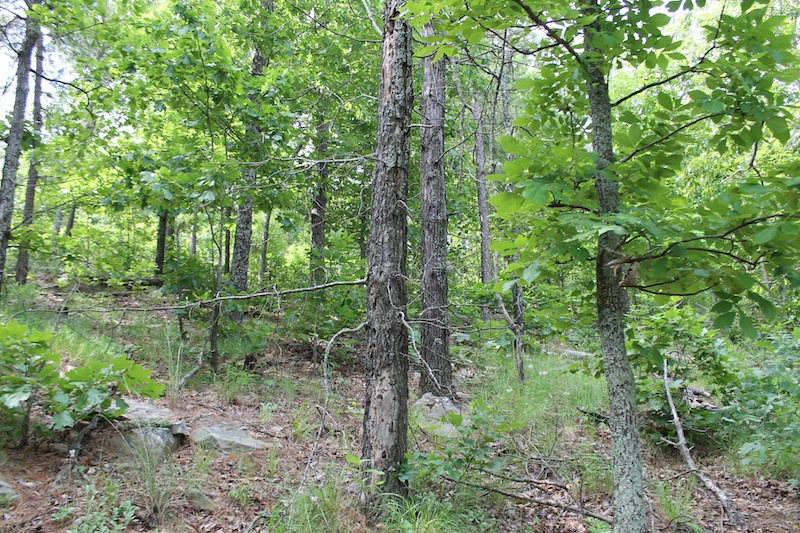 Tract 41 at Indian Ridge Phase II in Pittsburg County, Oklahoma