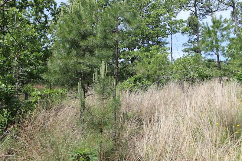 Tract 44 at Indian Ridge Phase II in Pittsburg County, Oklahoma