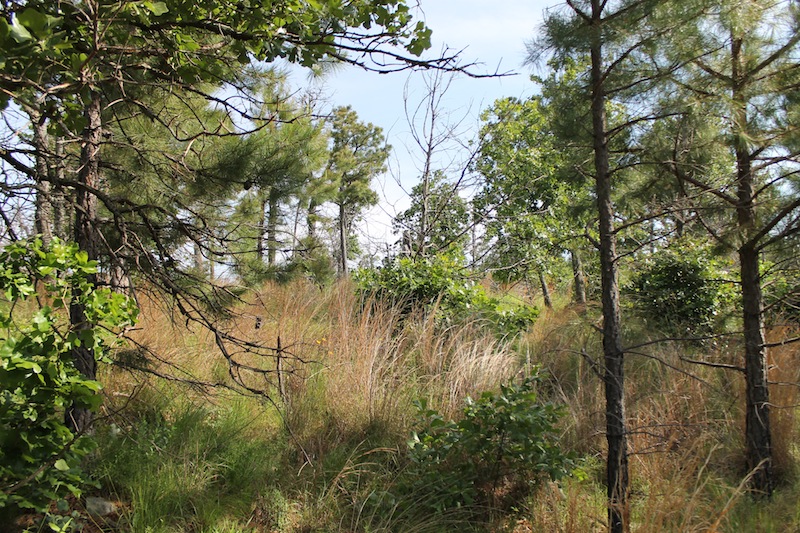 Tract 46 at Indian Ridge Phase II in Pittsburg County, Oklahoma