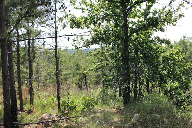 Tract 47 at Indian Ridge Phase II in Pittsburg County, Oklahoma