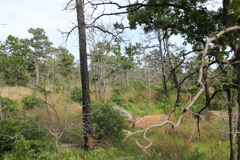 Tract 50 at Indian Ridge Phase II in Pittsburg County, Oklahoma