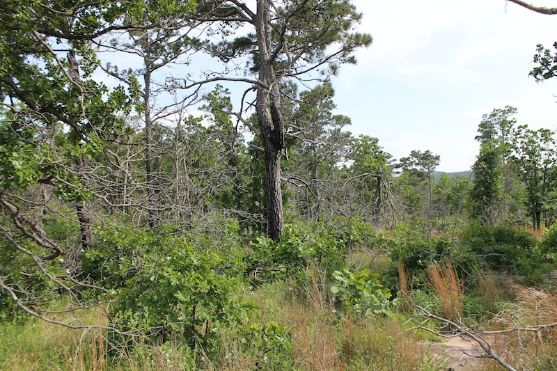 Tract 51 at Indian Ridge Phase II in Pittsburg County, Oklahoma