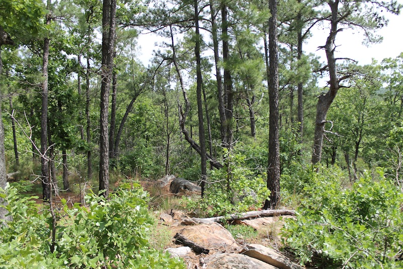 Tract 52 at Indian Ridge Phase II in Pittsburg County, Oklahoma