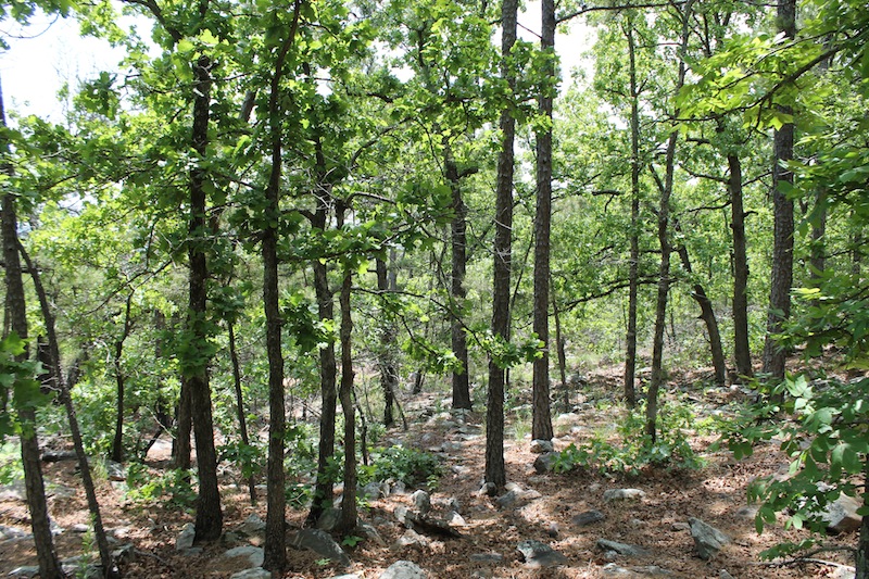 Tract 54 at Indian Ridge Phase II in Pittsburg County, Oklahoma