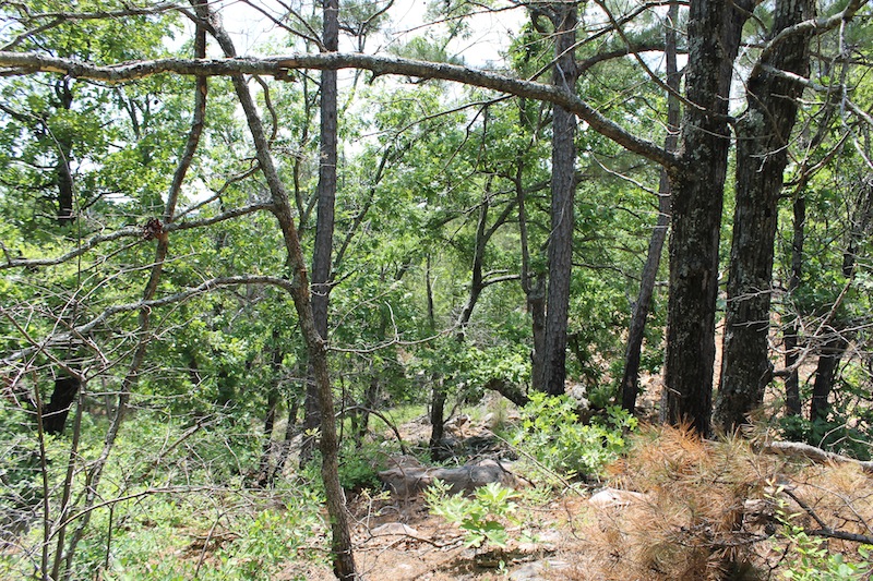 Tract 55 at Indian Ridge Phase II in Pittsburg County, Oklahoma