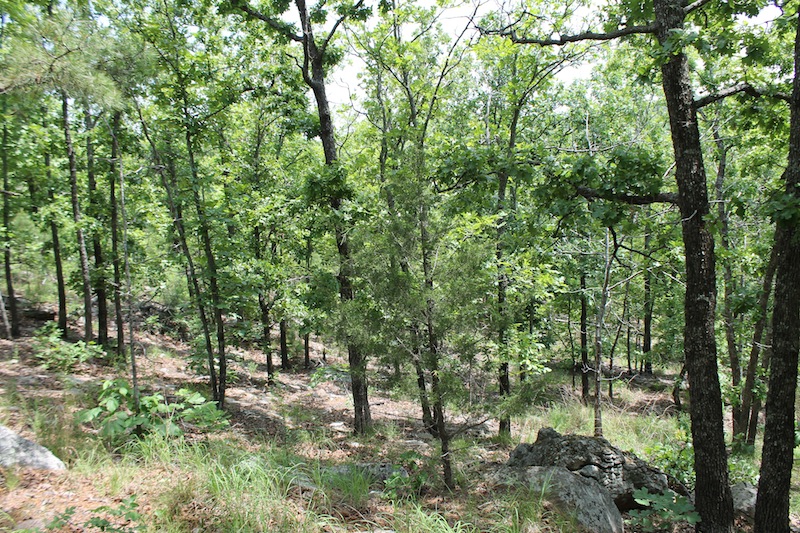 Tract 56 at Indian Ridge Phase II in Pittsburg County, Oklahoma