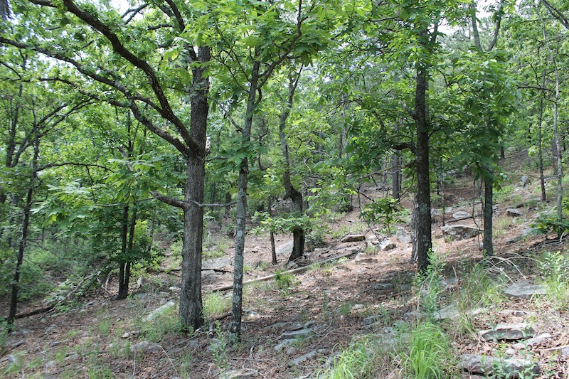 Tract 57 at Indian Ridge Phase II in Pittsburg County, Oklahoma