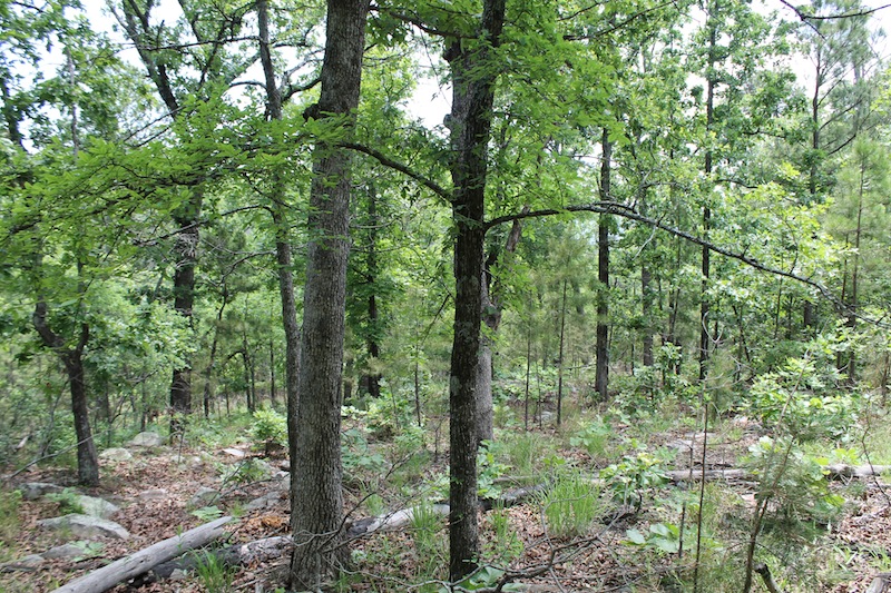 Tract 59 at Indian Ridge Phase II in Pittsburg County, Oklahoma