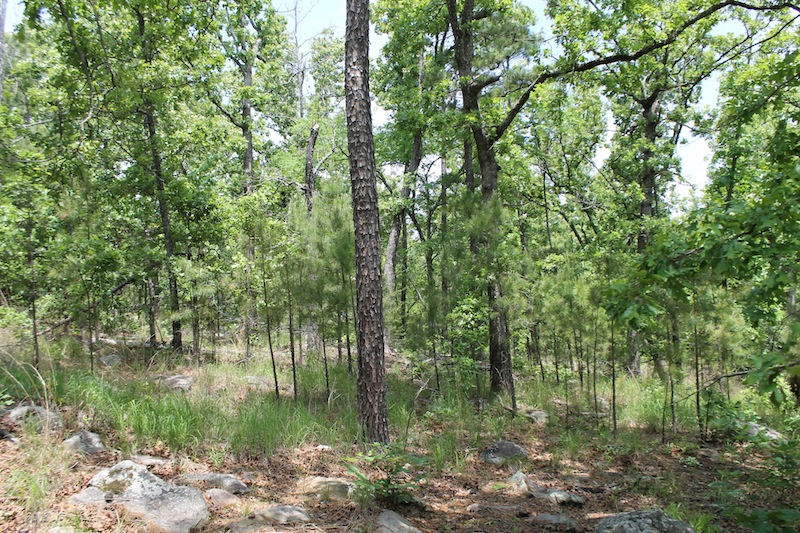 Tract 60 at Indian Ridge Phase II in Pittsburg County, Oklahoma