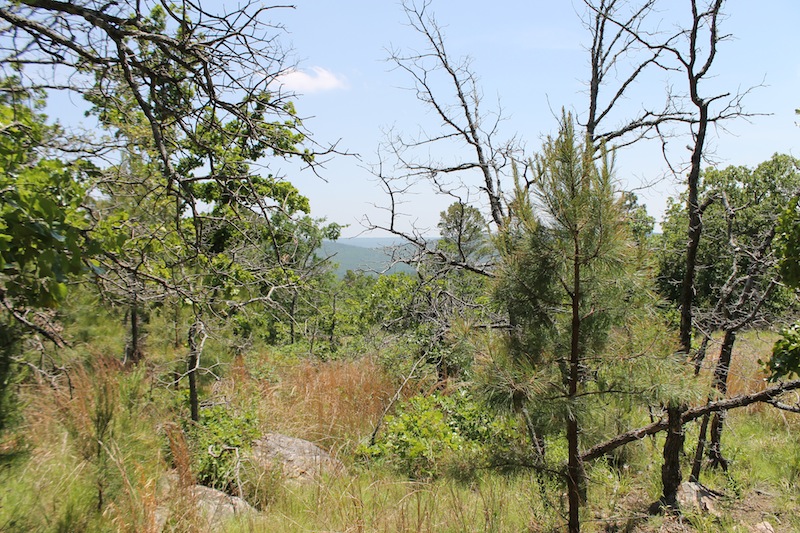 Tract 62 at Indian Ridge Phase II in Pittsburg County, Oklahoma