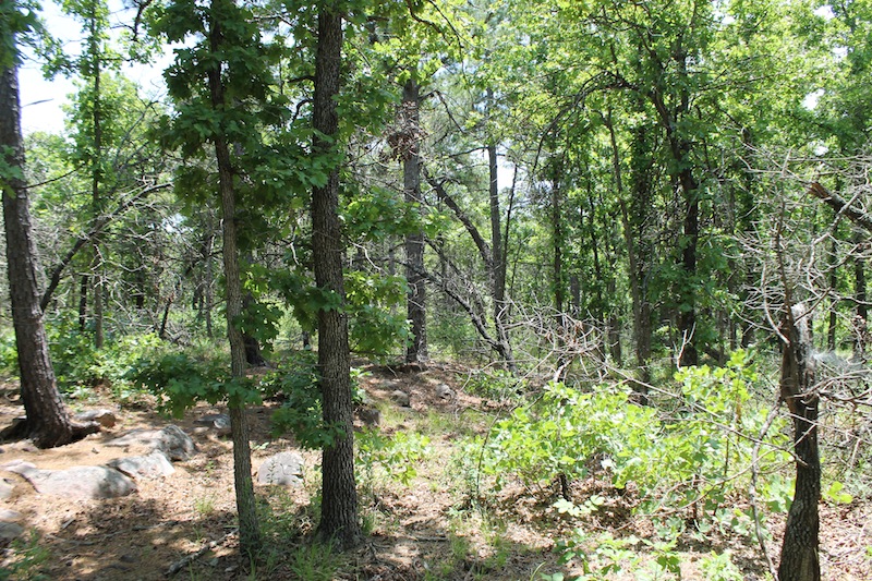 Tract 63 at Indian Ridge Phase II in Pittsburg County, Oklahoma