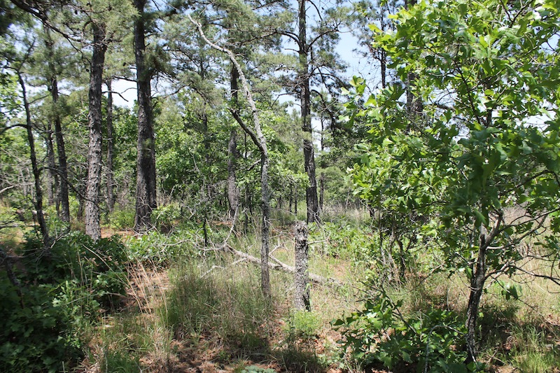 Tract 64 at Indian Ridge Phase II in Pittsburg County, Oklahoma