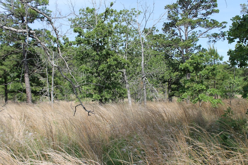 Tract 67 at Indian Ridge Phase II in Pittsburg County, Oklahoma
