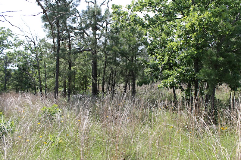 Tract 68 at Indian Ridge Phase II in Pittsburg County, Oklahoma
