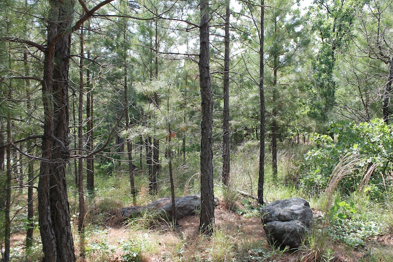 Tract 69 at Indian Ridge Phase II in Pittsburg County, Oklahoma