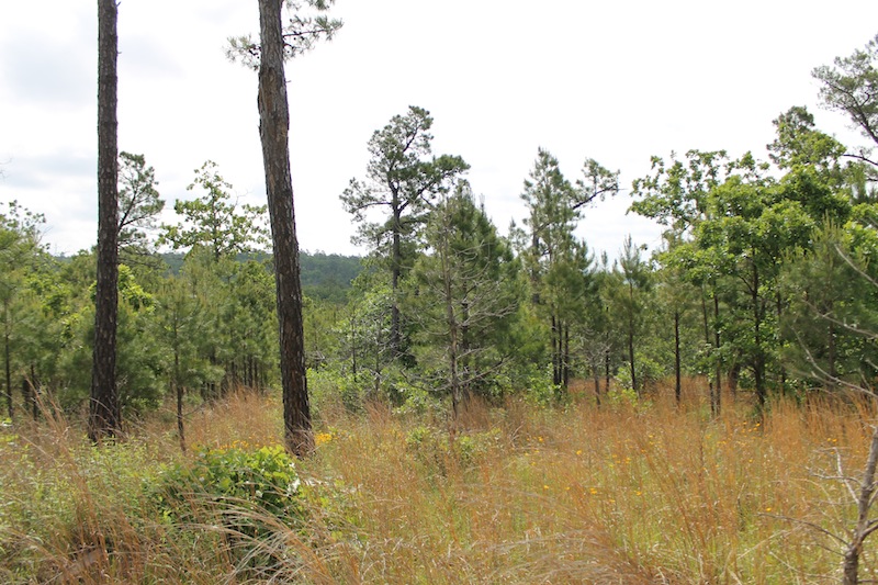 Tract 71 at Indian Ridge Phase II in Pittsburg County, Oklahoma