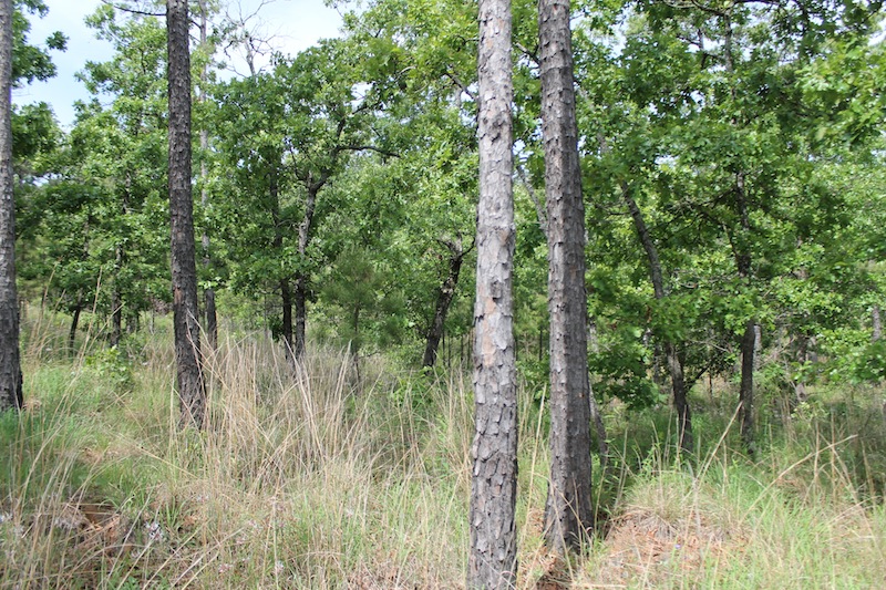 Tract 72 at Indian Ridge Phase II in Pittsburg County, Oklahoma
