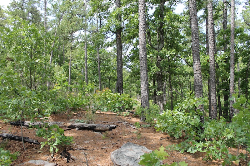 Tract 73 at Indian Ridge Phase II in Pittsburg County, Oklahoma