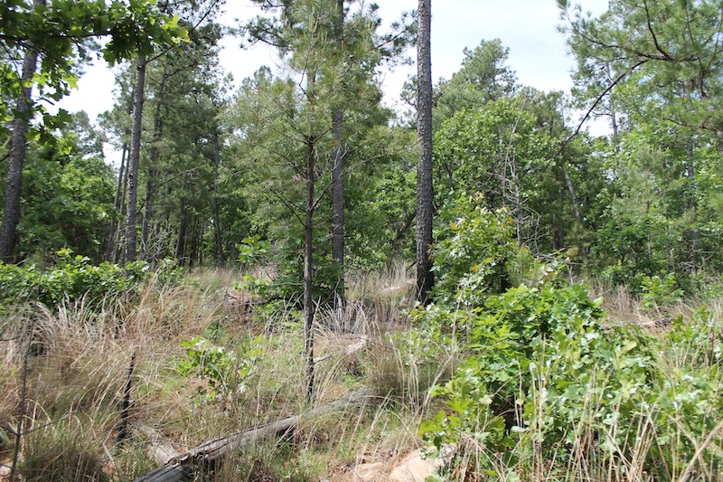 Tract 74 at Indian Ridge Phase II in Pittsburg County, Oklahoma
