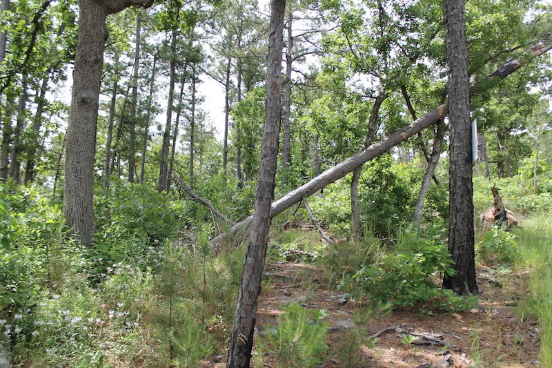 Tract 75 at Indian Ridge Phase II in Pittsburg County, Oklahoma