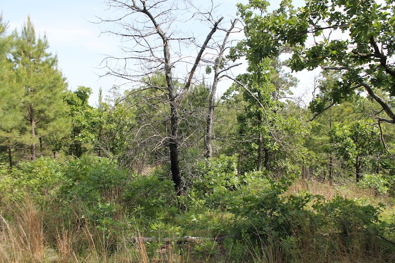 Tract 77 at Indian Ridge Phase II in Pittsburg County, Oklahoma