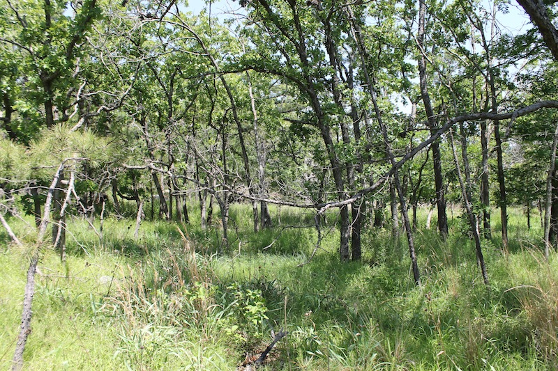 Tract 78 at Indian Ridge Phase II in Pittsburg County, Oklahoma