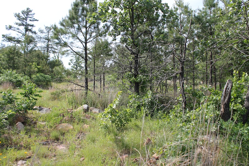 Tract 80 at Indian Ridge Phase II in Pittsburg County, Oklahoma