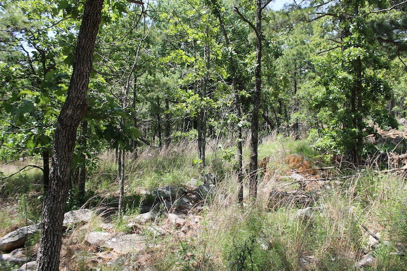 Tract 82 at Indian Ridge Phase II in Pittsburg County, Oklahoma