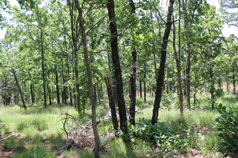 Tract 83 at Indian Ridge Phase II in Pittsburg County, Oklahoma