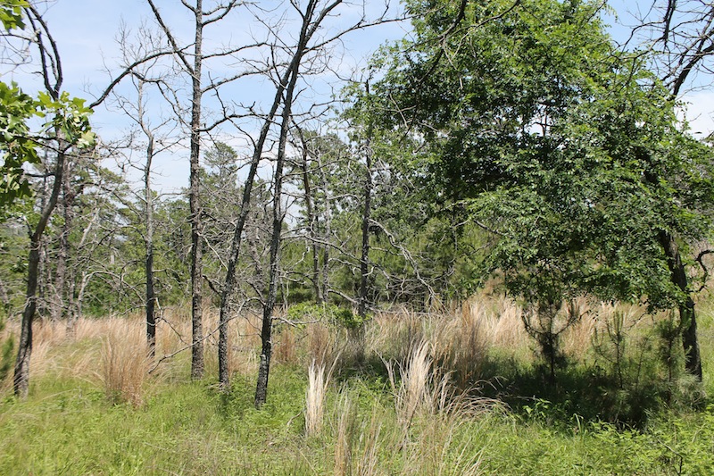 Tract 84 at Indian Ridge Phase II in Pittsburg County, Oklahoma