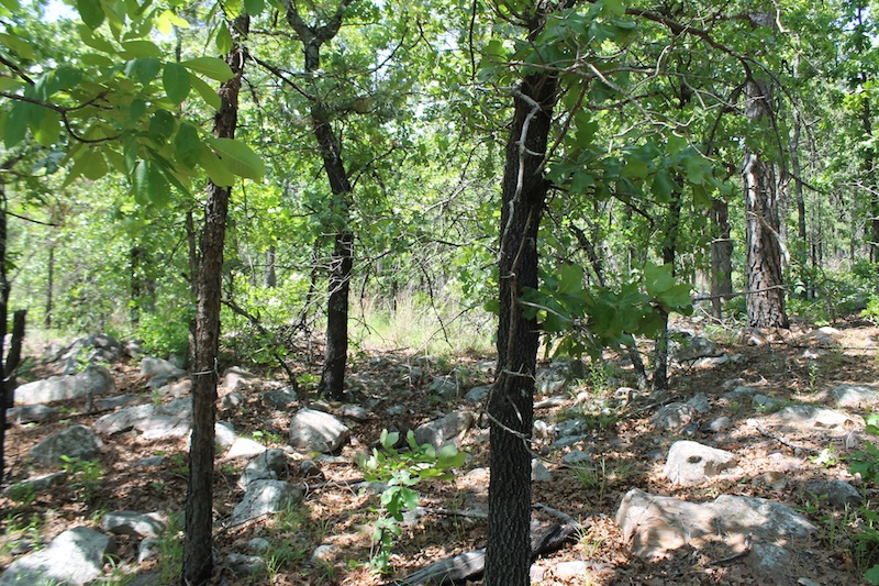 Tract 85 at Indian Ridge Phase II in Pittsburg County, Oklahoma