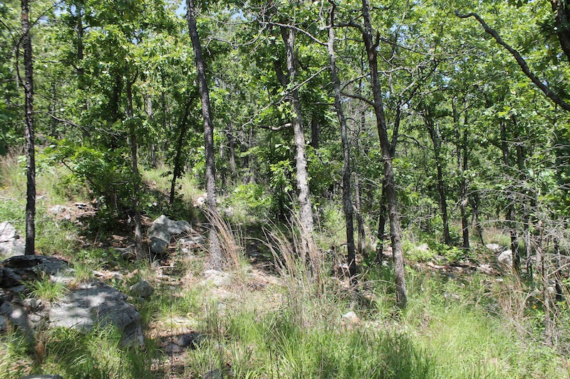 Tract 86 at Indian Ridge Phase II in Pittsburg County, Oklahoma